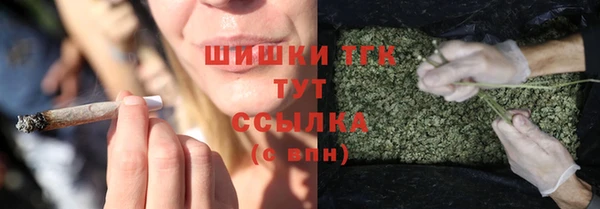 прущие крисы Бородино