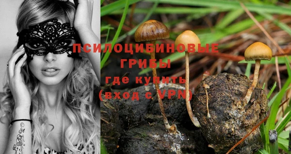 прущие крисы Бородино