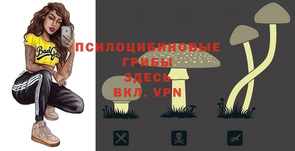 стафф Бронницы