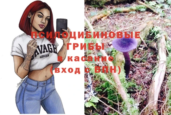 прущие крисы Бородино
