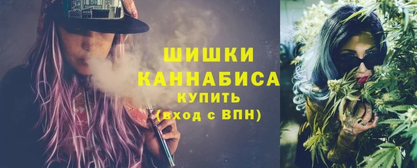 стафф Бронницы