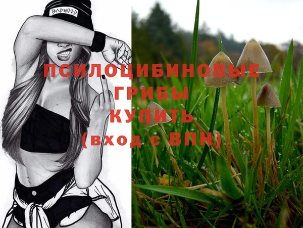 прущие крисы Бородино