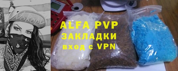 прущие крисы Бородино