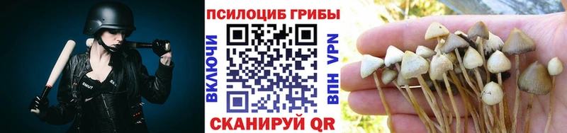 Купить  Шебекино  Галлюциногенные грибы прущие грибы 