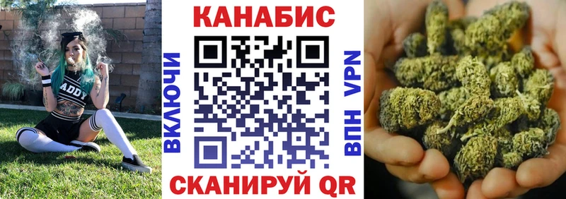 Бошки марихуана план  Купить закладки  Шебекино 